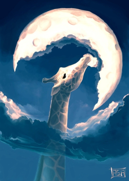 giraffa (1).jpg